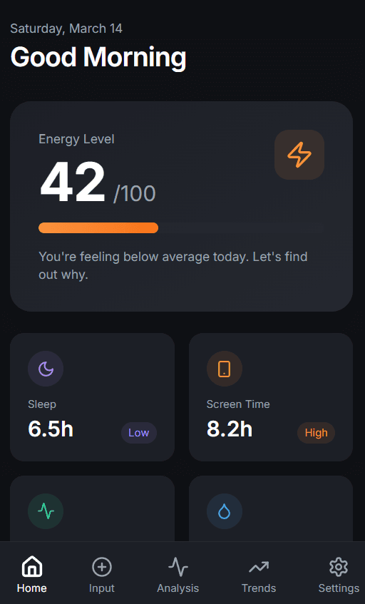 Why Am I Tired? UI